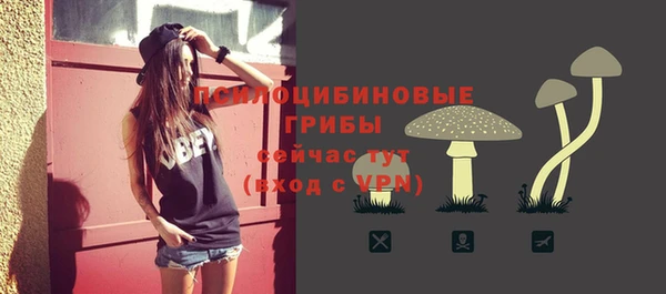 индика Абинск
