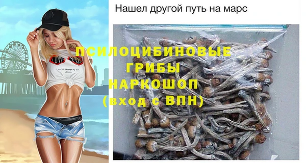индика Абинск