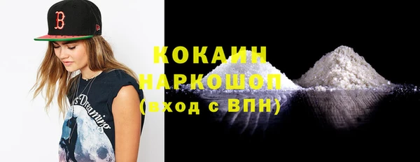 индика Абинск