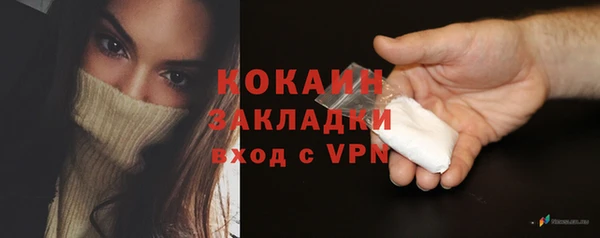 индика Абинск