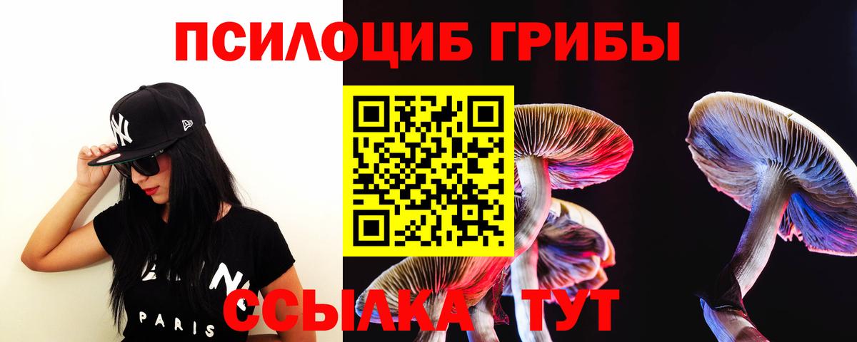 Галлюциногенные грибы ЛСД  Псилоцибиновые грибы прущие грибы  закладки  Вход с VPN  Алапаевск 